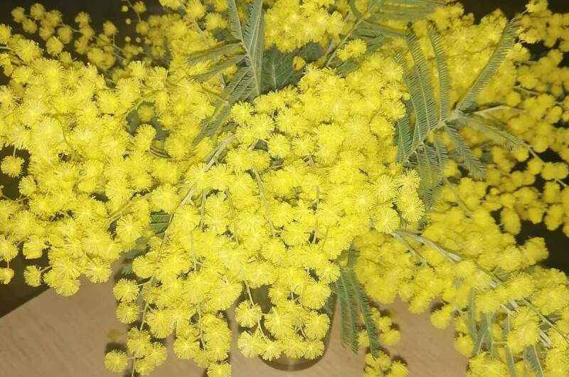 Изображение Изображение гостиницы "Гостевой дом «Фиалка»" #4 #4