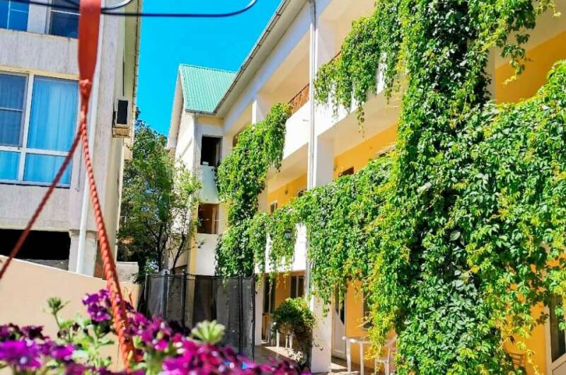 Изображение Изображение гостиницы &quot;Гостевой дом «Ассоль»&quot; #1 #1