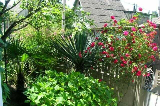 Изображение Изображение гостиницы "Гостевой дом «Славянка»" #4 #4