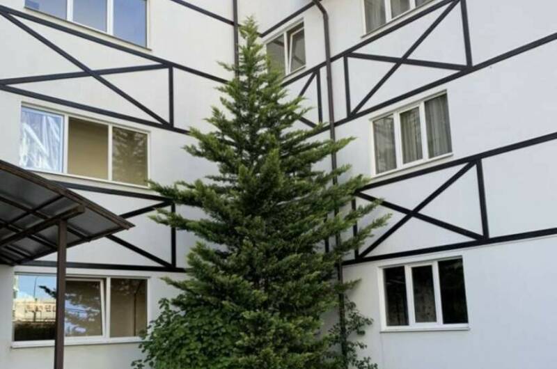 Изображение Изображение квартиры &quot;Апартаменты&quot; #6 #6