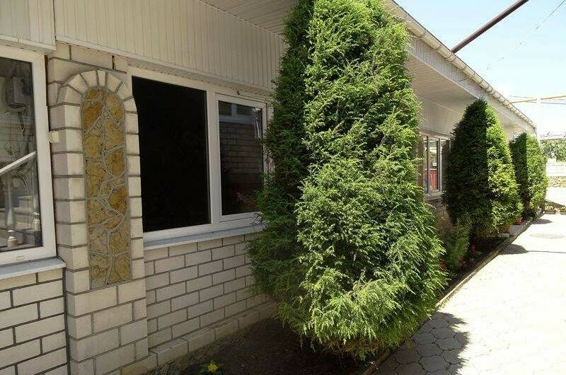 Изображение Изображение гостиницы &quot;Частный дом «Елена»&quot; #4 #4