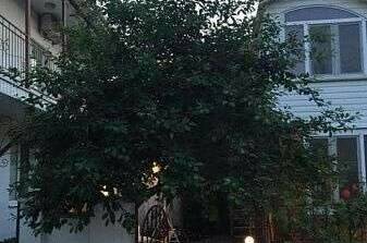 Изображение Изображение гостиницы &quot;Гостевой дом «Райская Лагуна»&quot; #3 #3