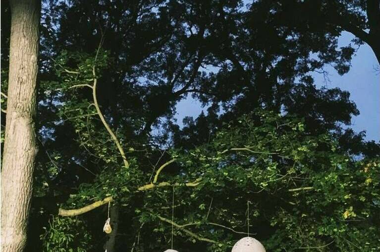 Изображение Изображение гостиницы &quot;Гостевой дом «Лес»&quot; #6 #6