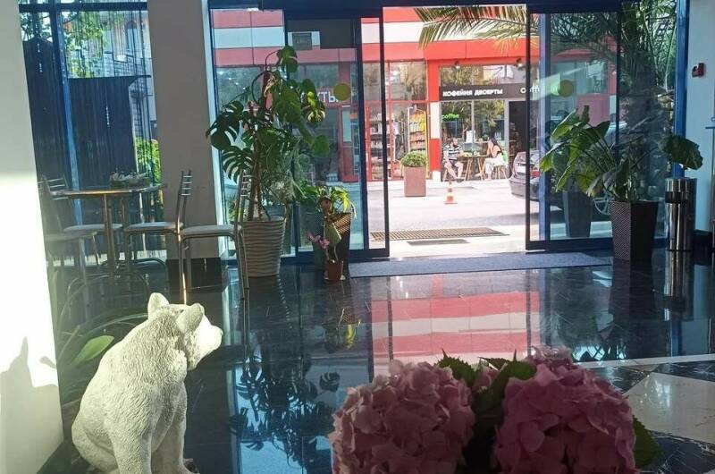 Изображение Изображение гостиницы "Гостевой дом «София»" #4 #4