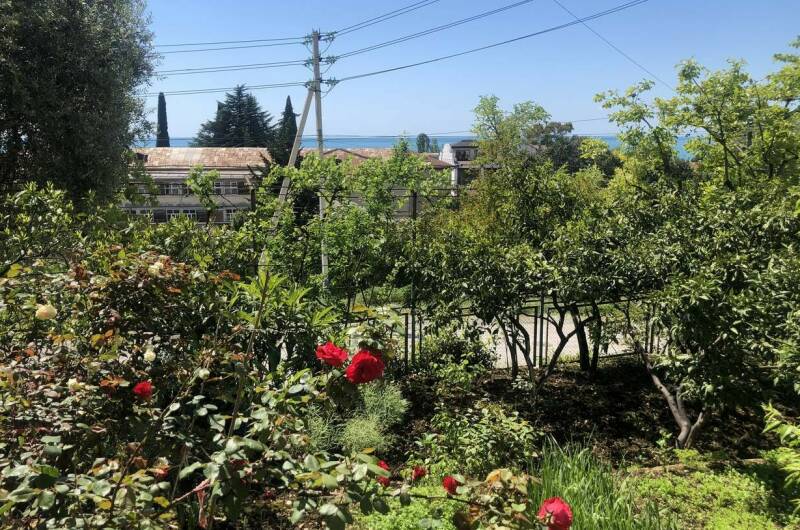 Изображение Изображение отеля / гостиницы "Гостевой Дом «Элиза»" #11 #9