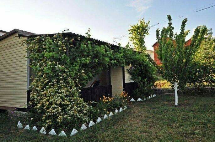 Изображение Изображение гостиницы &quot;Частный сектор на Таманская 22&quot; #1 #1