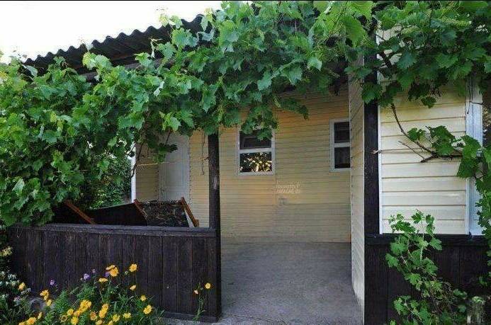 Изображение Изображение гостиницы &quot;Частный сектор на Таманская 22&quot; #5 #5