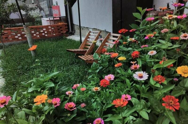 Изображение Изображение гостиницы &quot;Гостевой дом «Таллинский дворик»&quot; #4 #4