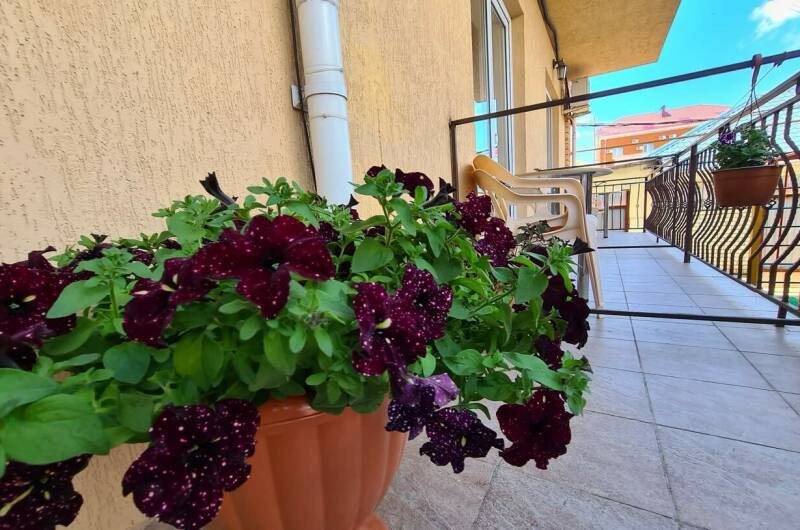 Изображение Изображение гостиницы &quot;Гостевой дом «Лиса»&quot; #5 #5