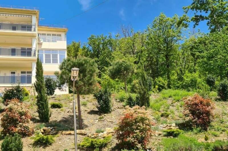 Изображение Изображение квартиры &quot;Квартира-студия&quot; #2 #2