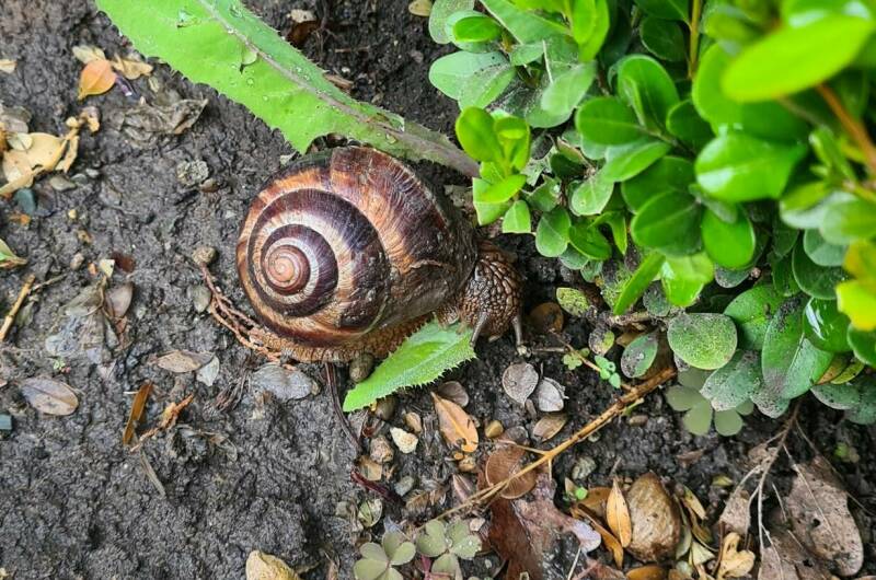 Изображение Изображение квартиры &quot;Квартира-студия&quot; #4 #4