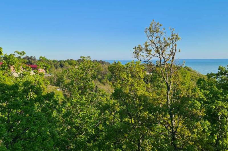 Изображение Изображение квартиры &quot;Квартира-студия&quot; #7 #7