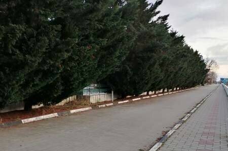 Изображение Изображение квартиры &quot;Студия в ЖК «SunHills»&quot; #2 #2