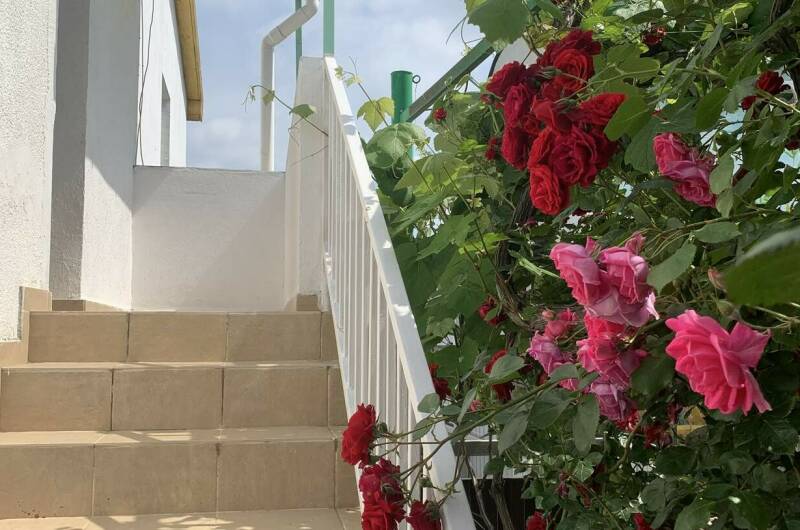 Изображение Изображение гостиницы &quot;Гостевой дом «Гармония»&quot; #7 #7