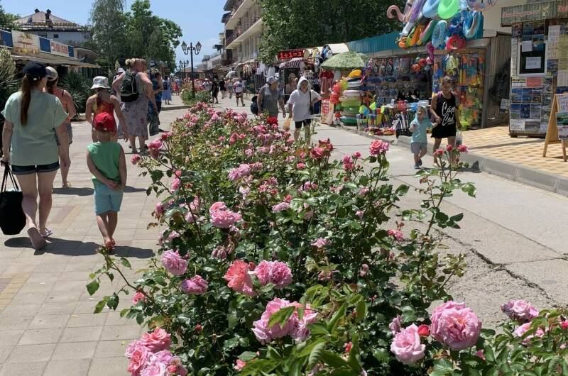 Изображение Изображение гостиницы &quot;Гостевой дом «Гармония»&quot; #8 #8