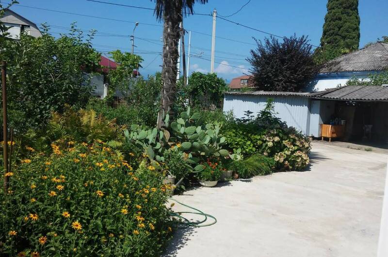 Изображение Изображение гостиницы "Гостевой дом на Адлейба 75" #3 #3