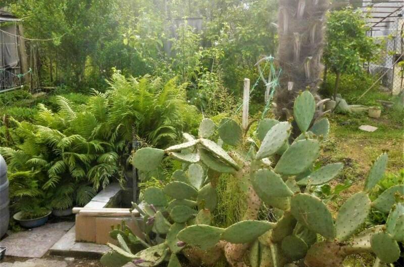 Изображение Изображение гостиницы "Гостевой дом на Адлейба 75" #5 #5