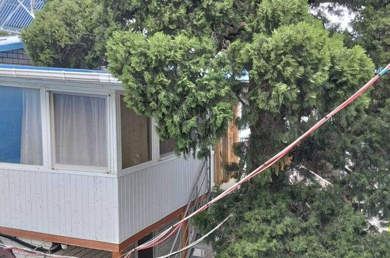 Изображение Изображение отеля / гостиницы "Гостевой дом «Арина»" #10 #8