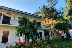 Изображение отеля / гостиницы "Гостевой дом «Сосновый рай»"