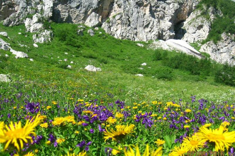 Изображение Изображение квартиры "Эко-дом под ключ «Ветряная Мельница»" #2 #2