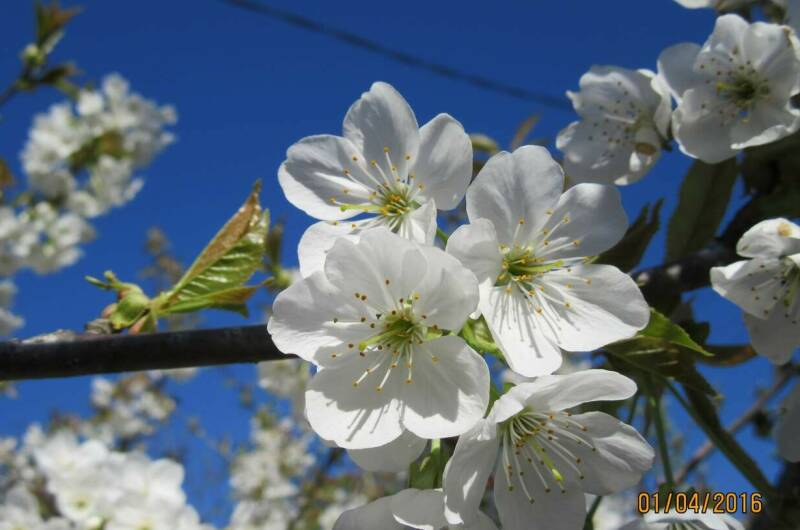 Изображение Изображение квартиры "Эко-дом под ключ «Ветряная Мельница»" #5 #5