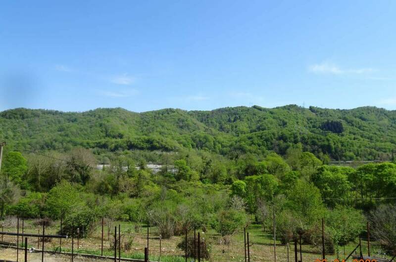 Изображение Изображение квартиры "Эко-дом под ключ «Ветряная Мельница»" #6 #6