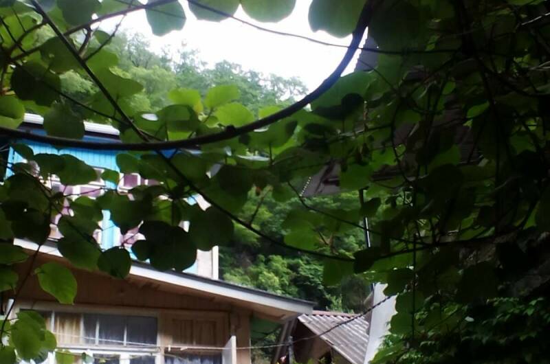 Изображение Изображение квартиры "Часть дома у реки" #1 #1