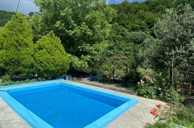 Изображение Изображение гостиницы &quot;Гостевой дом «Райский Сад»&quot; #1 #1