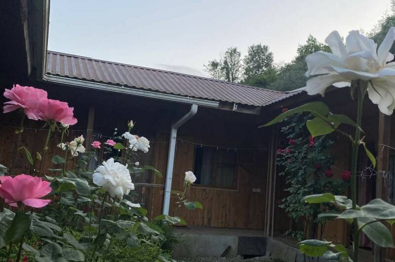 Изображение Изображение гостиницы &quot;Гостевой дом «Райский Сад»&quot; #2 #2