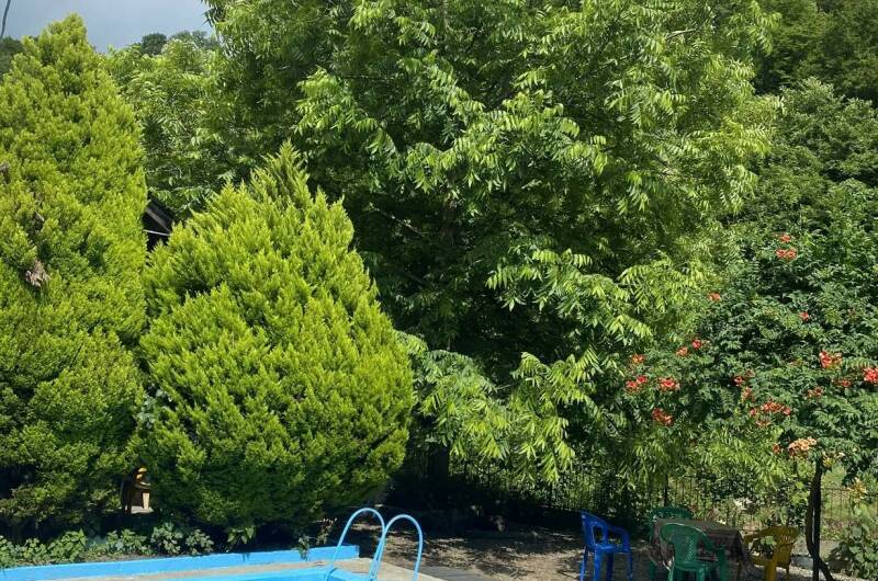 Изображение Изображение гостиницы &quot;Гостевой дом «Райский Сад»&quot; #3 #3