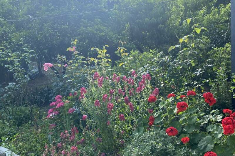 Изображение Изображение гостиницы &quot;Гостевой дом «Райский Сад»&quot; #8 #8