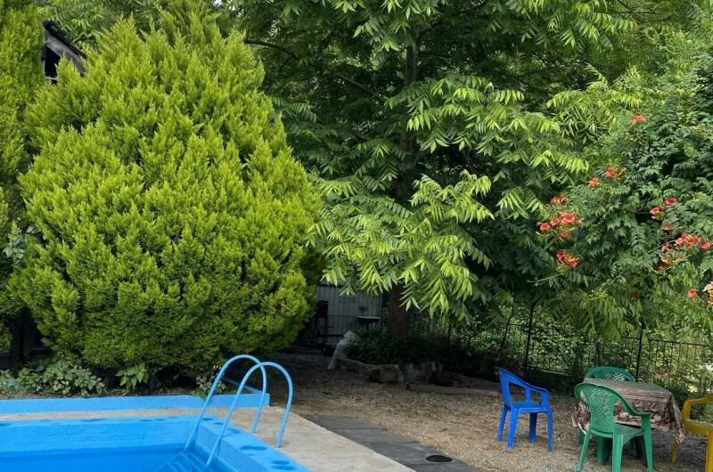 Изображение Изображение отеля / гостиницы "Гостевой дом «Райский Сад»" #11 #9