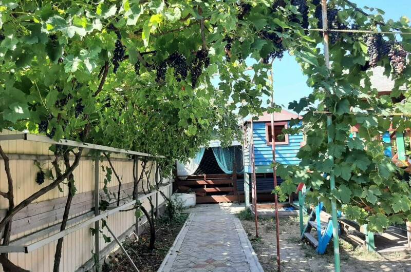 Изображение Изображение гостиницы &quot;Эко-отель «Можжевеловый дворик»&quot; #5 #5