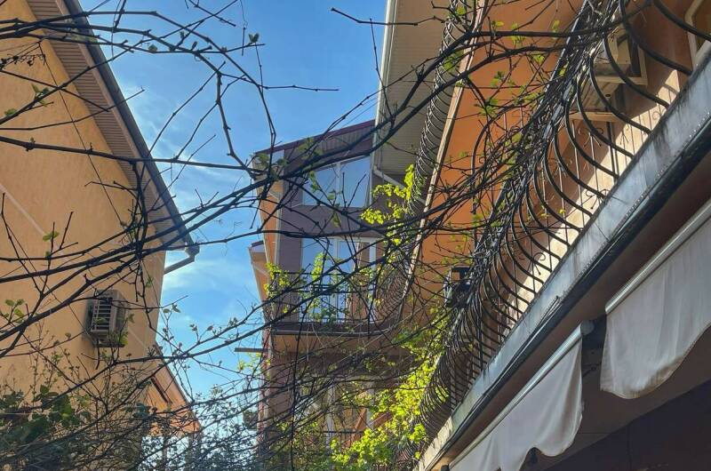 Изображение Изображение гостиницы &quot;Гостевой дом «Ника»&quot; #6 #6