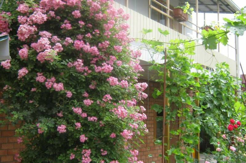 Изображение Изображение гостиницы &quot;Частный сектор на Калинина&quot; #1 #1