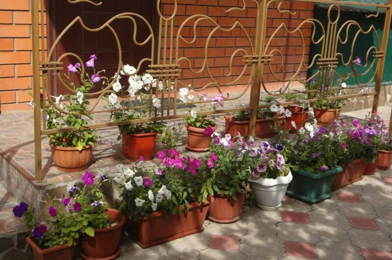 Изображение Изображение отеля / гостиницы "Частный сектор на Калинина" #10 #8