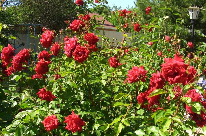 Изображение Изображение квартиры &quot;Домик под ключ на Комсомольской&quot; #3 #3