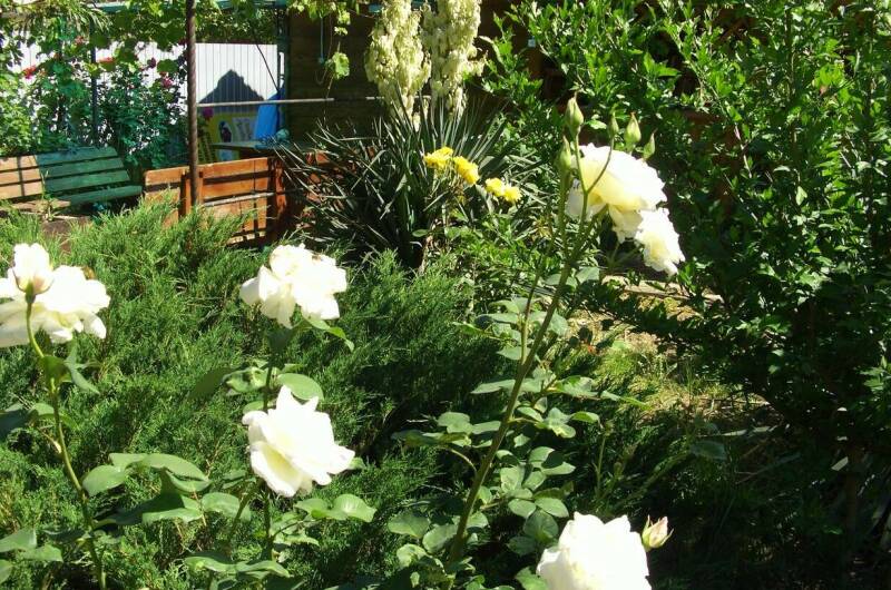 Изображение Изображение квартиры &quot;Домик под ключ на Комсомольской&quot; #4 #4