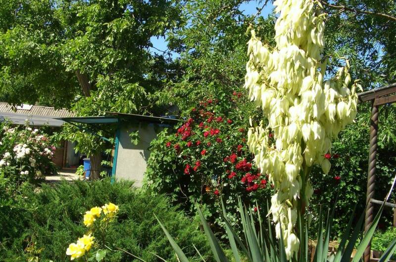 Изображение Изображение квартиры &quot;Домик под ключ на Комсомольской&quot; #5 #5