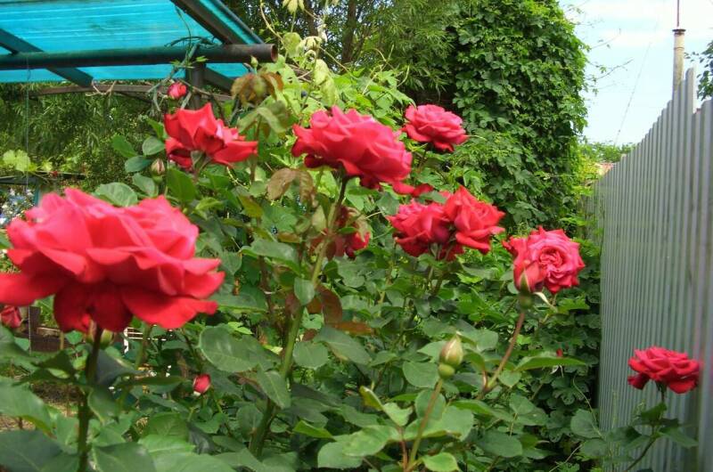 Изображение Изображение квартиры / апартамента "Домик под ключ на Комсомольской" #10 #8