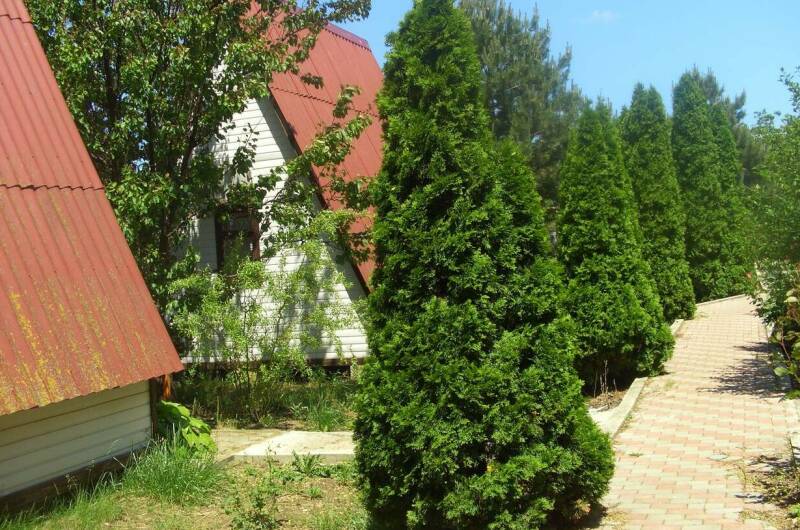 Изображение Изображение квартиры / апартамента "Домик под ключ на Комсомольской" #11 #9