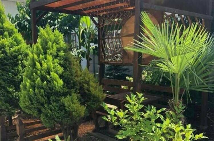 Изображение Изображение гостиницы &quot;Гостевой дом «Тропиканка»&quot; #1 #1