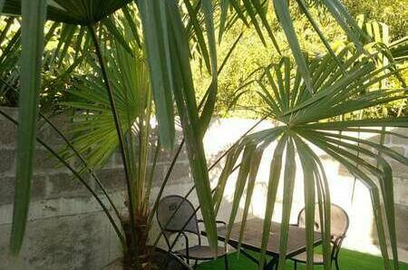 Изображение Изображение отеля / гостиницы "Гостевой дом «Тропиканка»" #11 #9