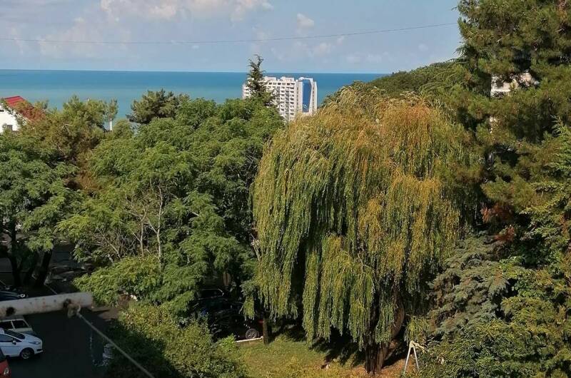 Изображение Изображение квартиры / апартамента "2-х комнатная квартира" #10 #8