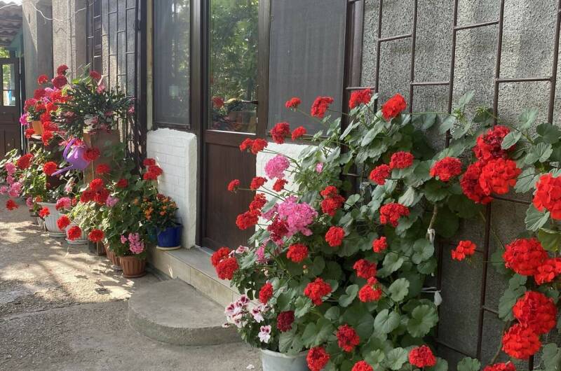 Изображение Изображение гостиницы "Частный дом «Traum»" #1 #1