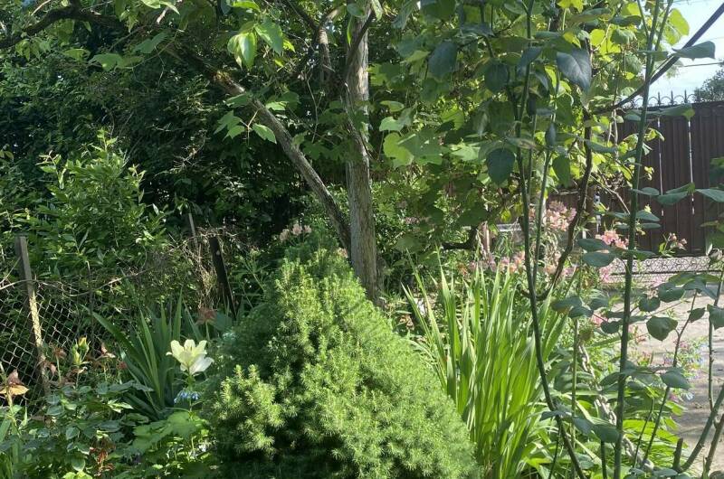 Изображение Изображение гостиницы "Частный дом «Traum»" #3 #3