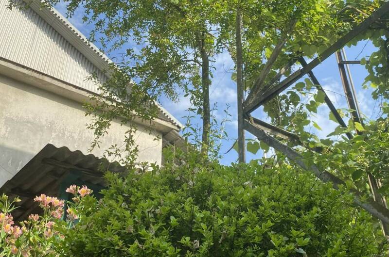 Изображение Изображение гостиницы "Частный дом «Traum»" #6 #6