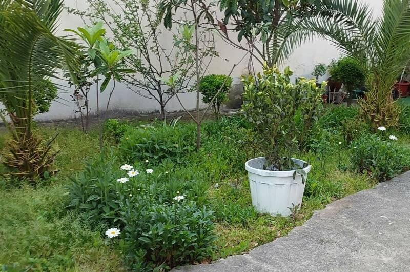 Изображение Изображение квартиры "Апартаменты «Горец»" #8 #8