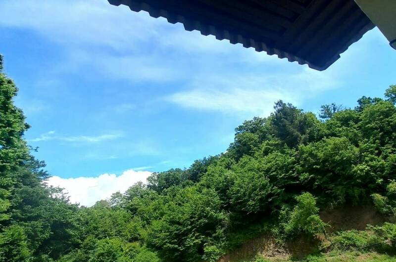 Изображение Изображение гостиницы &quot;Гостевой дом «Золотая бухта 12»&quot; #3 #3