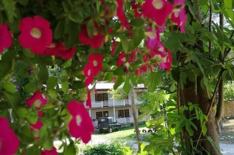 Изображение Изображение гостиницы &quot;Гостевой дом «Самшит»&quot; #8 #8